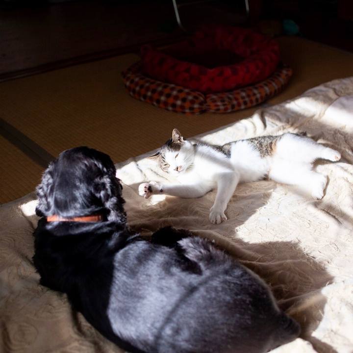 Ffe9581b bf13 49ff be37 1a53ef848dd1 1602829813154