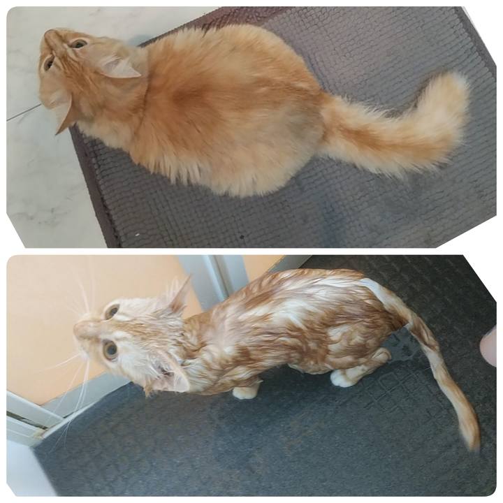 Ffe99845 bae6 4a1f bd42 28f04f75eec7 1638680726165