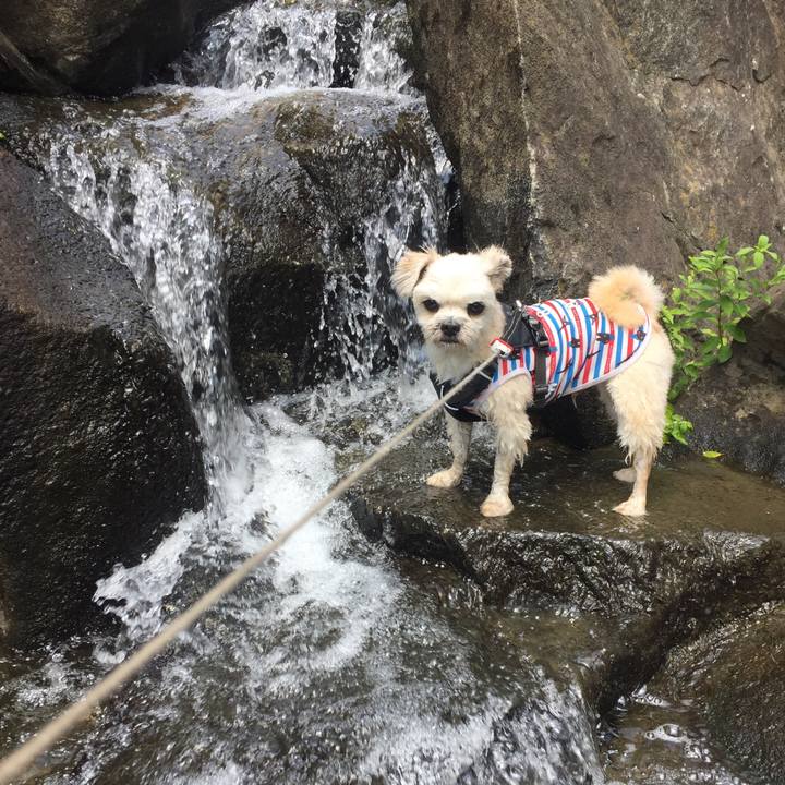 Ffe9bdce 20e0 41e8 aae7 14d369c44f16 1566011651194