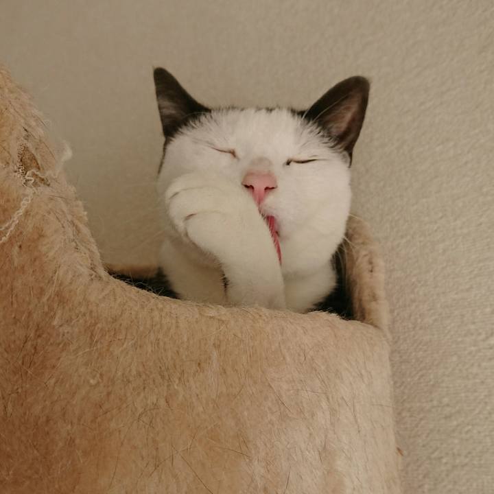 Ffe9d7cd 4373 4fc9 ace6 fa3f08c89b3d 1513049146593