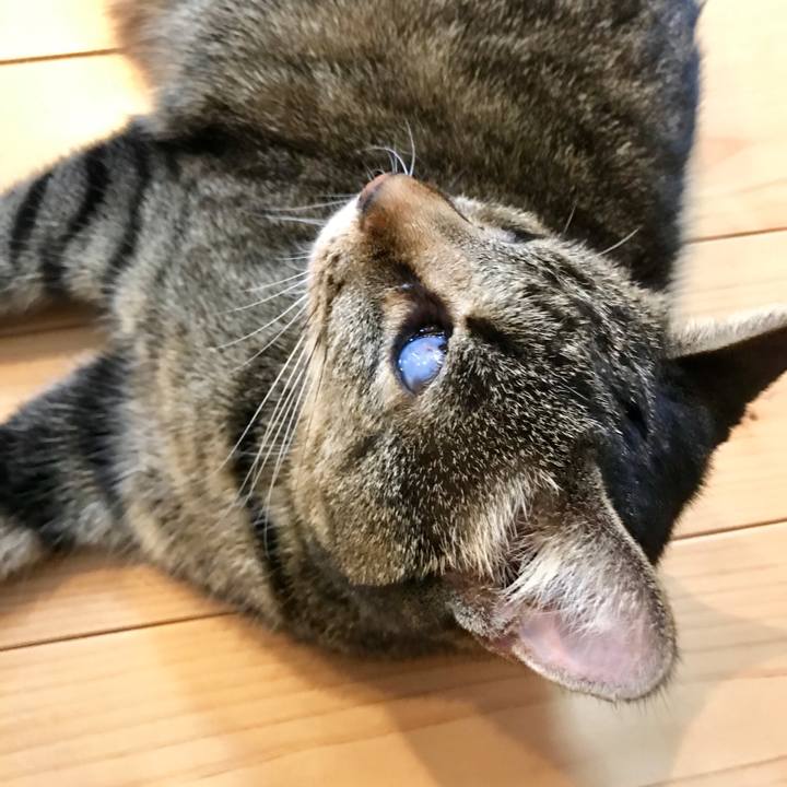 Ffea061a b1ed 47c4 8278 93d77fc21bb3 1552271705964