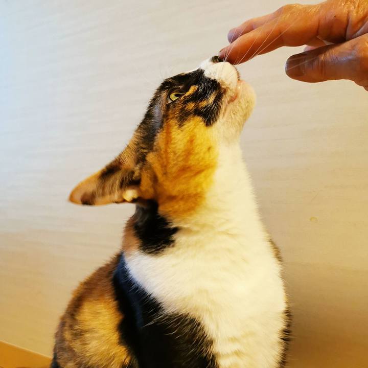 Ffea0cb0 f0b3 42bd b809 57d9fe49c6e2 1651724262140