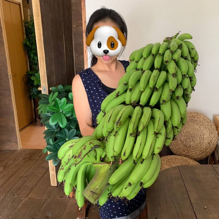 Ffea1c1a 204c 4779 9ee8 f0f0bfda633c 1565416343495