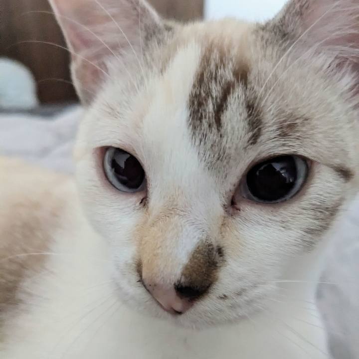 Ffea22df bbf4 47cf b72b bf1407169541 1697583303399