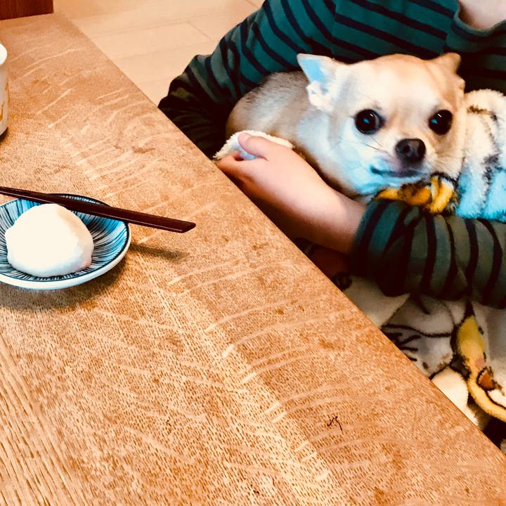 Ffea883d 2464 4386 ba8a 4948a62efaf6 1521537088972