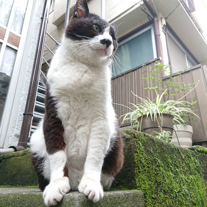 Ffea96ee ac79 4d7d a0f8 fbbb27a67792 1686356004275