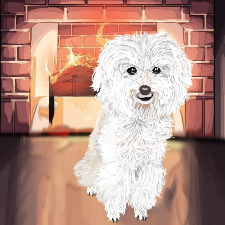 Ffeac9aa 092f 4d14 a60b 65b58e8157e5 1700905667939