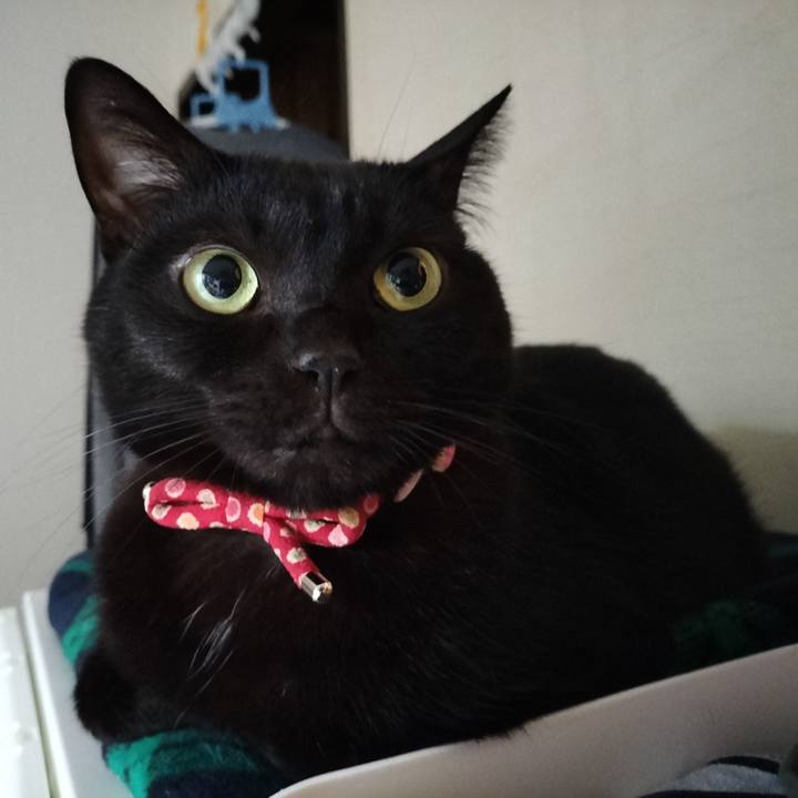 Ffeaf6b2 5053 46a4 86b2 75cfe276ba4d 1638482323453