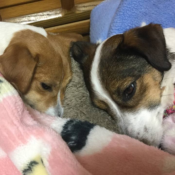 Ffeafcce 8f76 472b bcbe 0205d3dc13f0 1520249659906