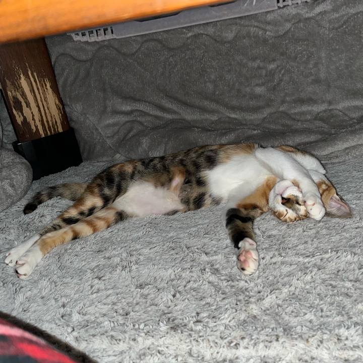 Ffeb293e 6a33 4a9b acdd 2479b270e97b 1669816076591