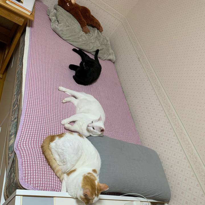 Ffeb2c73 f355 4adb 940a 128ebe2428b8 1634738220609