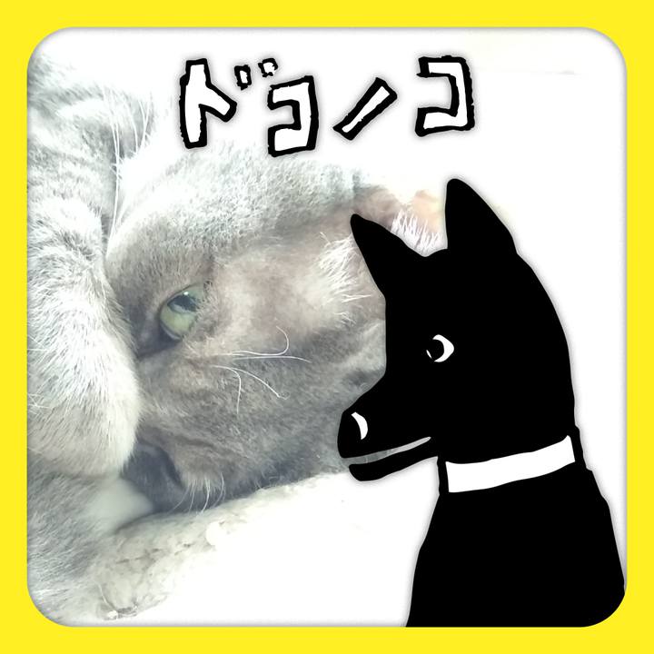 Ffeb3c90 e32d 4782 99f5 006add1468ee 1622858323145