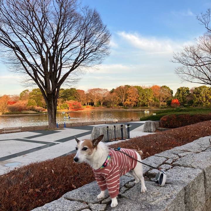 Ffeb608c 6d82 408e b93e 22058784a5d9 1670111070660