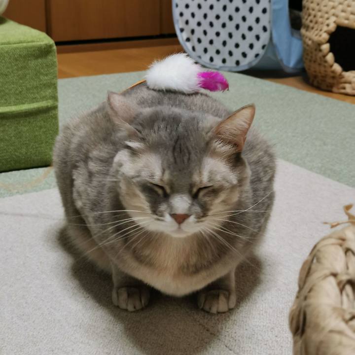 Ffeb9190 4c9e 4f03 849d 20a4e5d6bb51 1641219299289