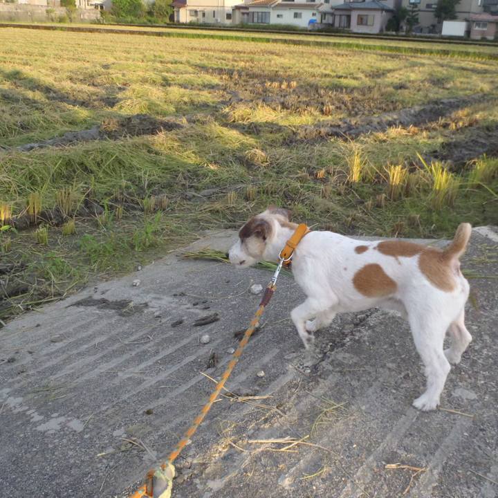 Ffeba91d 66fd 4eab b316 c7c2cfe8b099 1567681311250