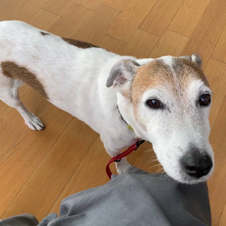 Ffebb039 86f4 4349 b8c4 03ac95fd1444 1599350872826