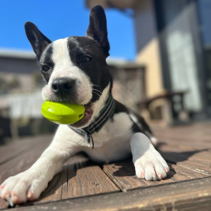 Ffebd2de 81fd 4a92 9c10 77a529a00c9e 1702525183028