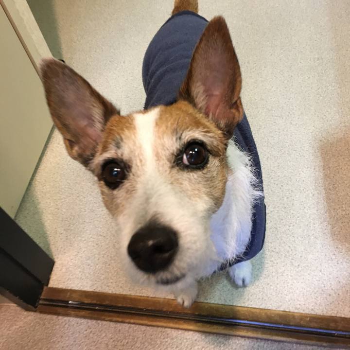 Ffebf930 6d5f 42d5 b41a c38326f93d02 1608247429699