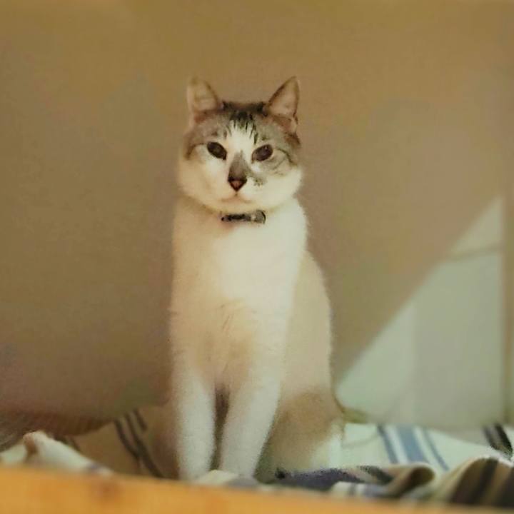 Ffec01d8 44c7 468d 9c7b 49f81b21fb3f 1621079275616