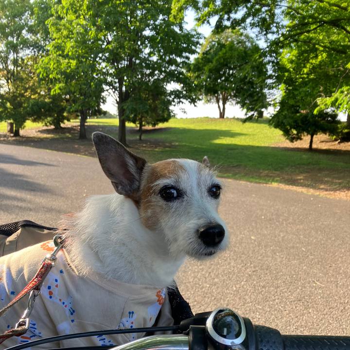 Ffec0c46 a429 4d00 92c7 448524b605bd 1716076321594