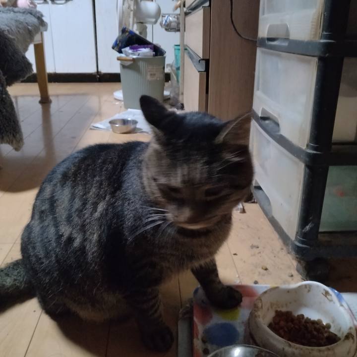 Ffec1be3 4e45 4a30 a40c e6e08afc698e 1666300976156