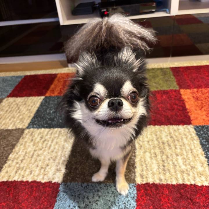 Ffec248a 0ac1 4a51 9ed8 8e057f563ef5 1760200423894