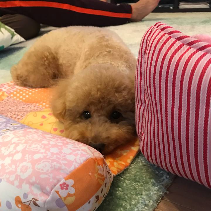 Ffec3f1f df17 4cf0 b1ce 69071f5978d5 1517230947302