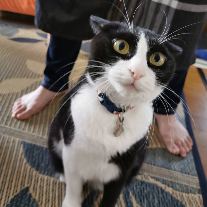 Ffec73d0 c679 4e64 80ab 644b76e578ad 1631503583854