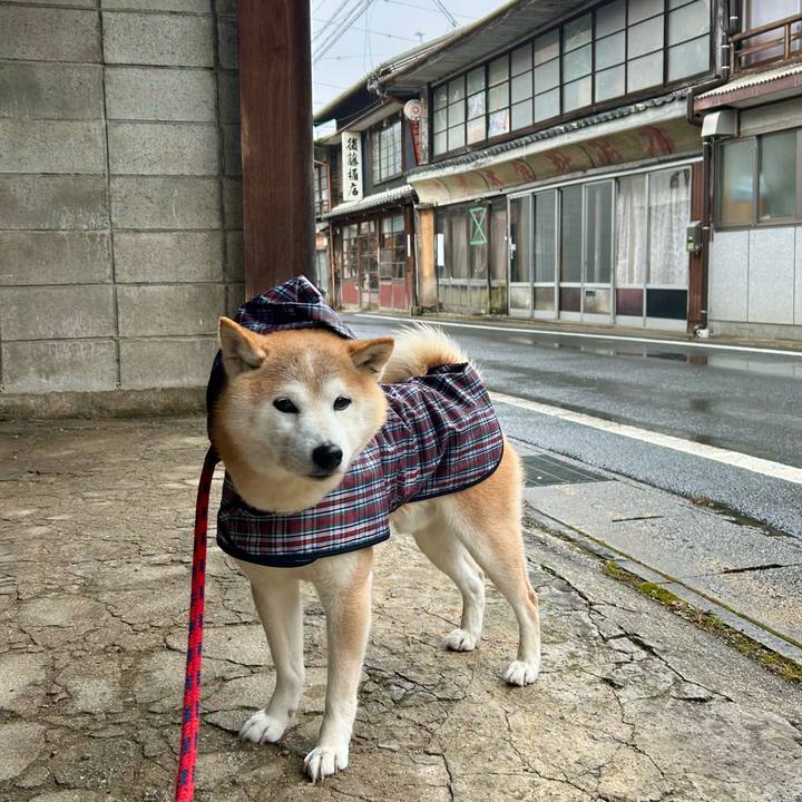 Ffec9abd 6539 445c 8b2e 3d26aceb973f 1740997646158