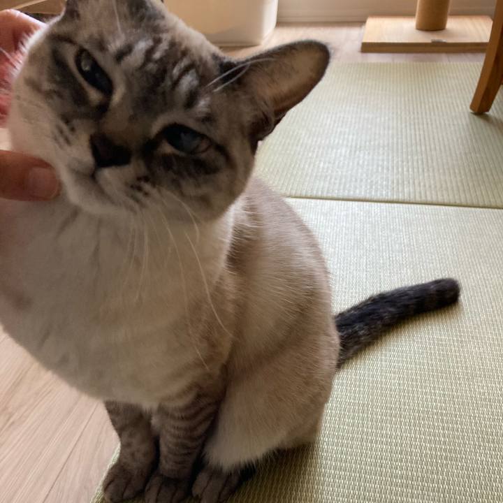 Ffecdbbf aa49 4b0b a84c 2fddaedc3f41 1675297540240