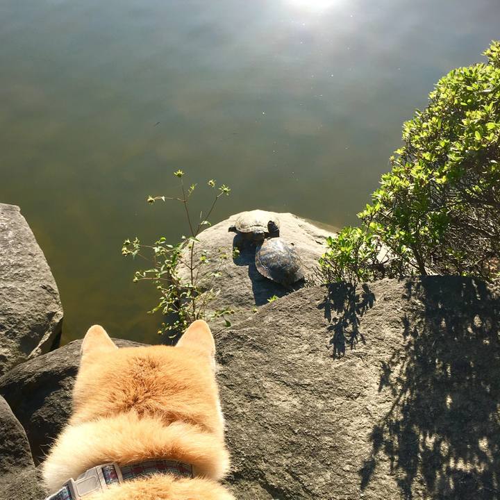 Ffed1a21 5723 46f2 a2fa 87f37dcdcaea 1532791096896