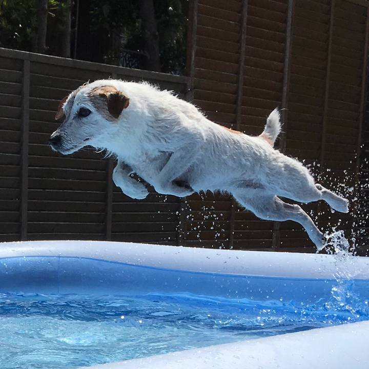 Ffed2a6d 52b3 4f23 bb0a dfb845467c8c 1615210446372