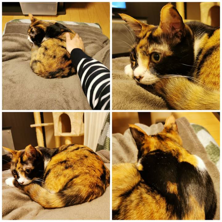 Ffed3466 bacd 46b0 9191 8e0a552ee566 1678334622974