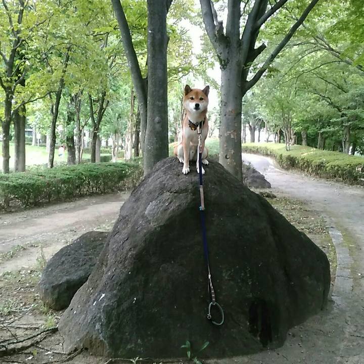 Ffed64d3 073e 4ef7 8756 4a08968cdf58 1566174996529