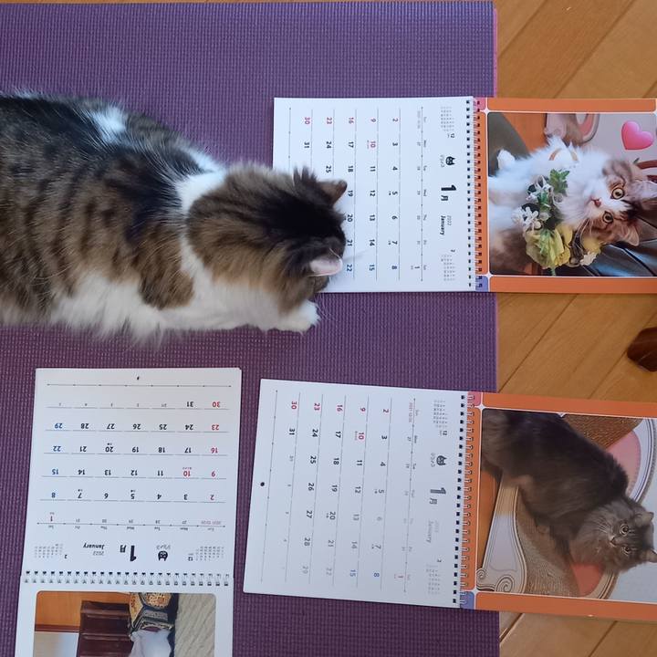 Ffed75ef ca6c 4508 ab96 7f1ab8e1590b 1641163146314