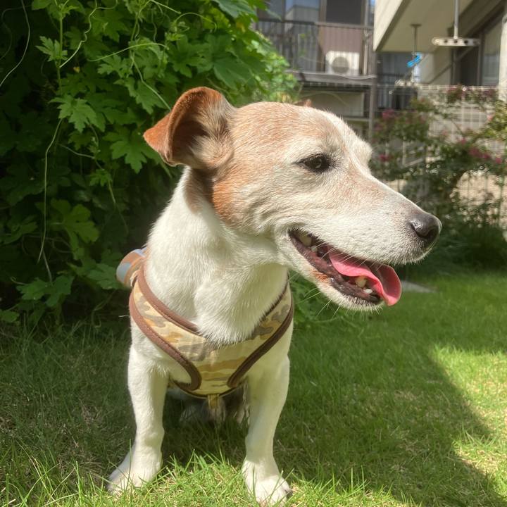 Ffed918e 7d4d 450f ae36 1add59dea396 1759707559940