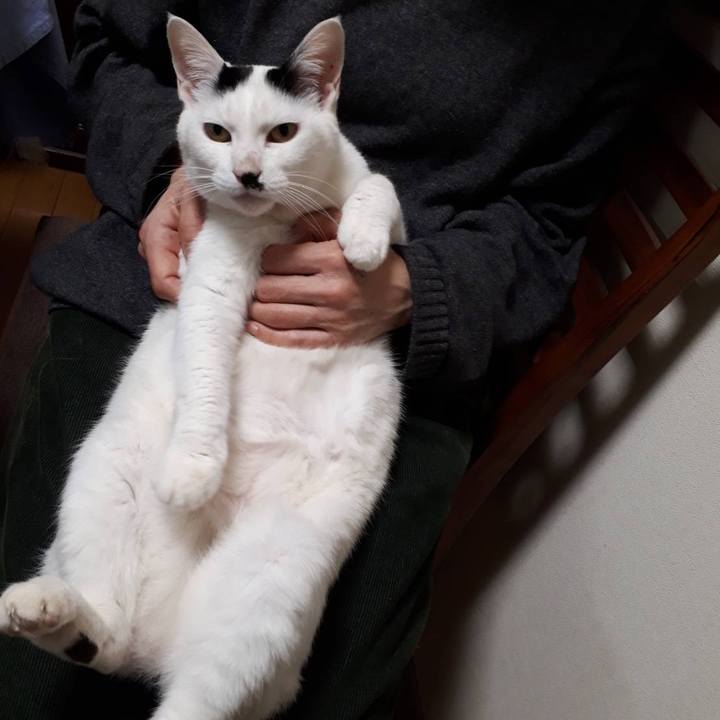 Ffedafe1 2a0c 4936 922c 530fd0bae43a 1615117789043