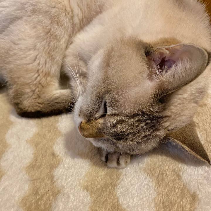 Ffedc3e0 eff6 4dfa 8c8b c9dc25bea71f 1604094800797