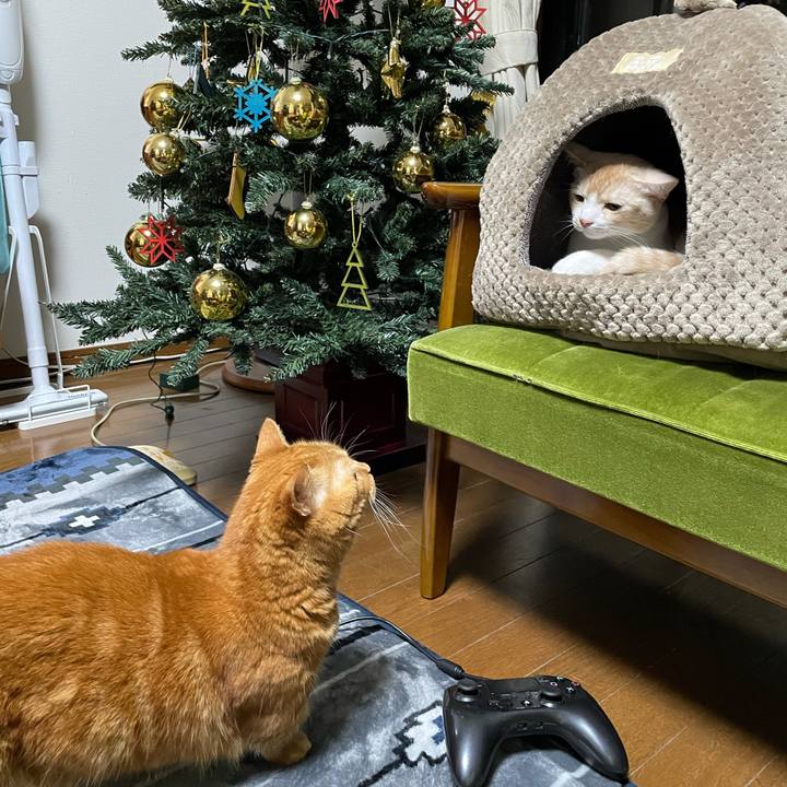 Ffedca09 de50 4b90 b0f1 6929415cc17d 1606120222148