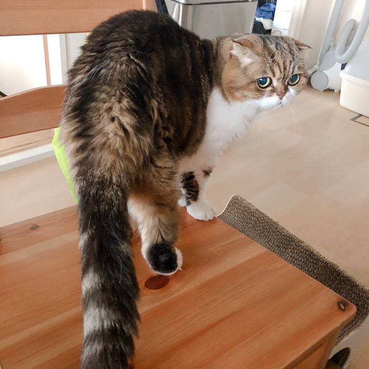 Ffedcc17 73c0 4b2d a8d0 428fdae71bb0 1566815470412