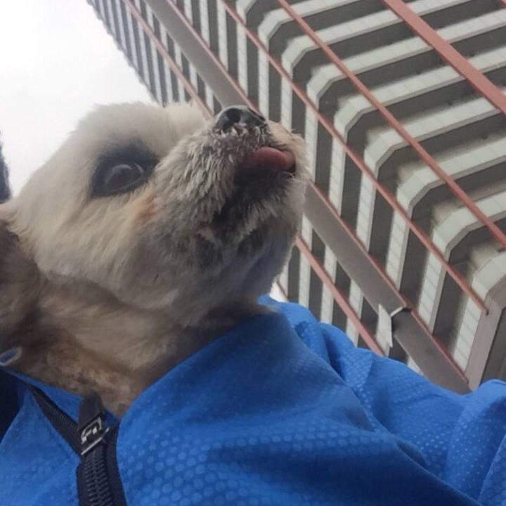 Ffee0c28 f9d2 48f4 9a16 2b74b4a4b12b 1549697979836