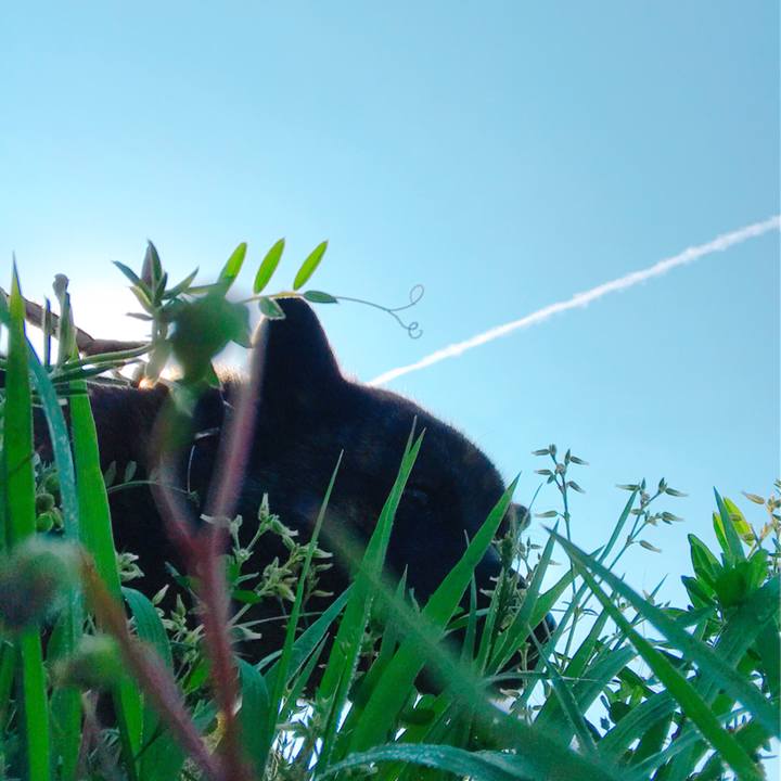 Ffee0fa7 c65a 44f2 85bf 74b3535209c1 1525991824222