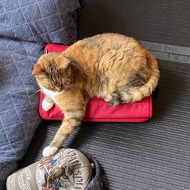 Ffee1a59 e04a 49d0 9e81 1277ce34374b 1588655840794