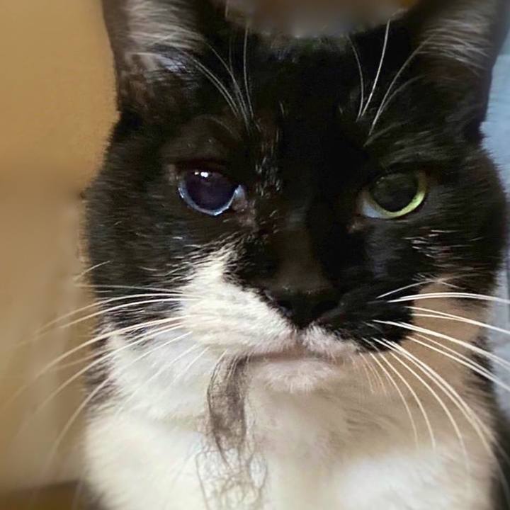 Ffee2607 983f 42b6 a769 cafc5c6b7f1a 1666843948910