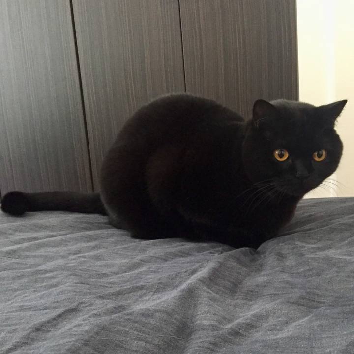 Ffee4417 e9a7 4038 94b1 6dbce174a2f7 1576023963032