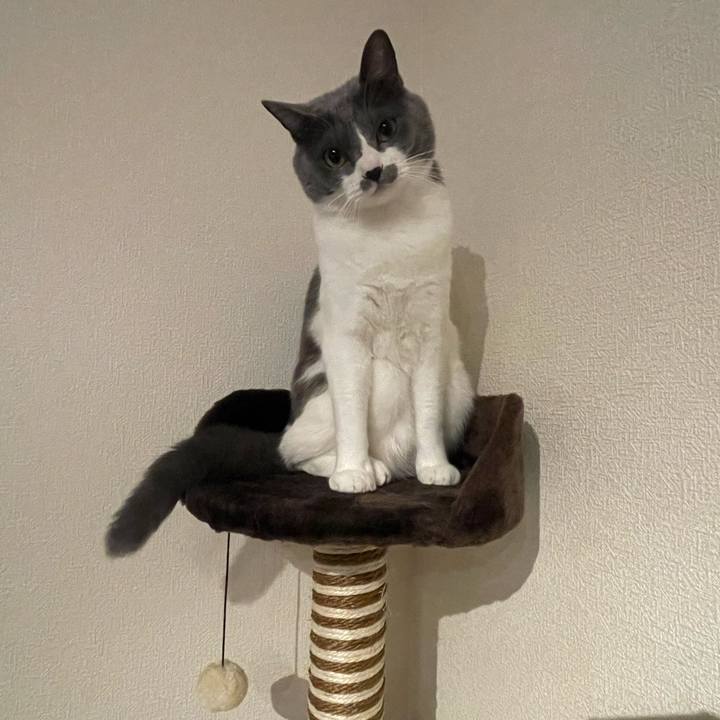 Ffee4a97 bd33 4bdb 80b6 a3d71ac627fd 1672397880149