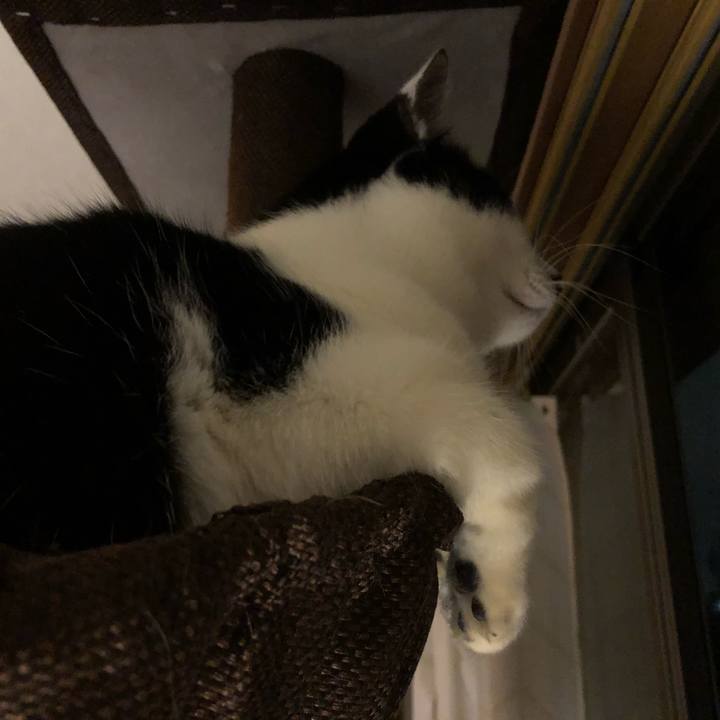 Ffee4c3b 8a57 4087 bf1a 021d53eafdd8 1549886103059