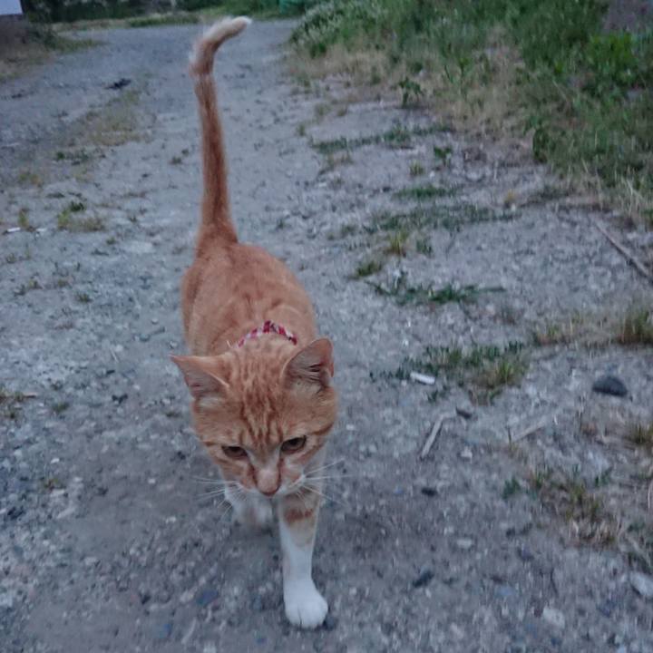 Ffee6ddf 4512 4b45 9e2d 56091319d22a 1560508102170