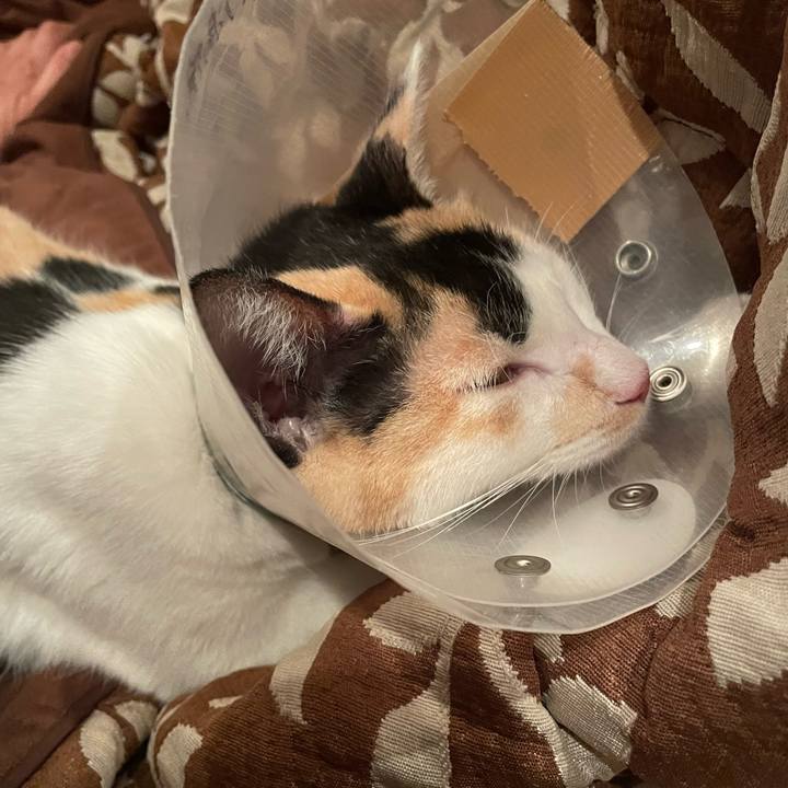 Ffee7705 287f 4d9c b391 123472c15637 1671883515201