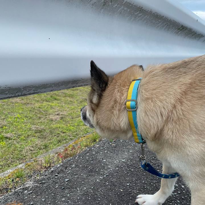 Ffee830b ccac 4972 9a0e c57881e02d1d 1650025426924